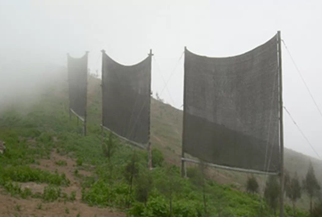 Interceptación de lluvia y niebla en bosques de la laurisilva y pinar de las Islas Canarias